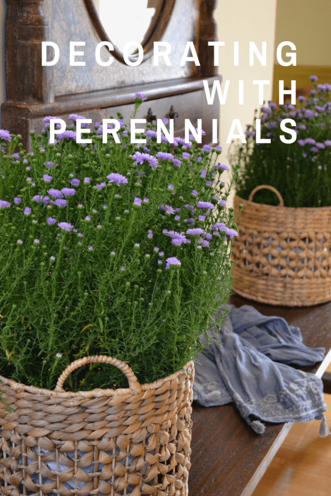 fall indoor decorating with perennials